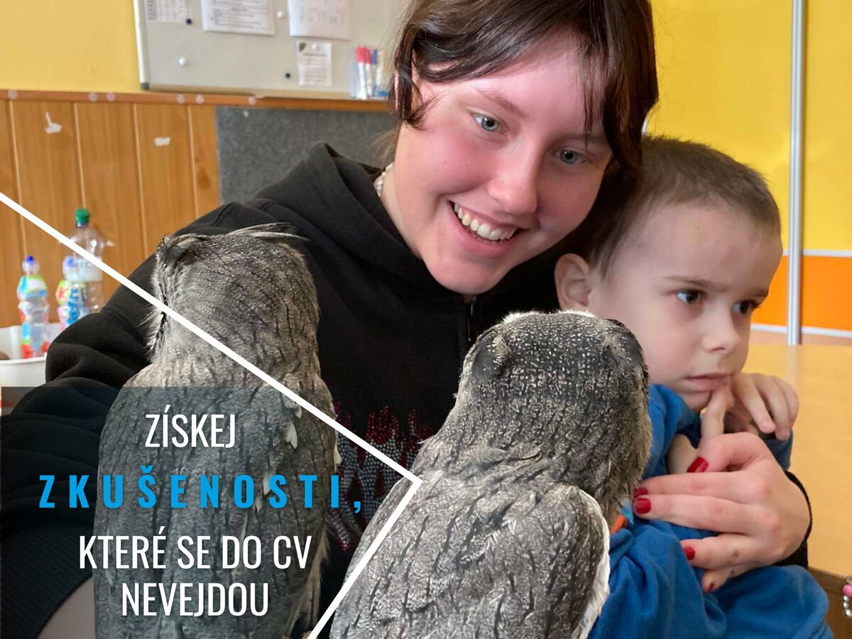 staň se dobrovolníkem v Česku