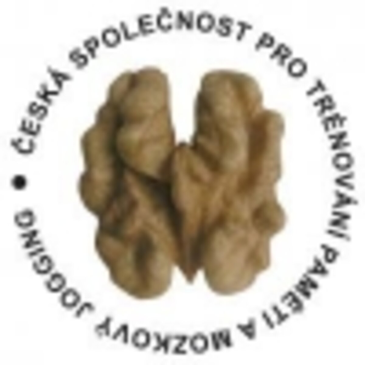 ČSTPMJ