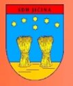 SDH Jičina