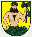 logo Město Albrechtice