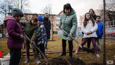 Dřeviny pro POHODU a Komunitní centrum 