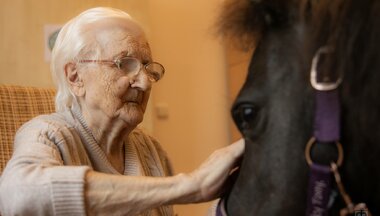 Jaká byla animoterapie ve středisku SILOE Ostrava?