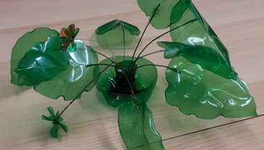 Multidisciplinární terénní tým Havířov