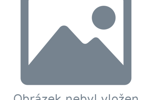 Paní ředitelka přebírá šek na 20 000 pro TABITU