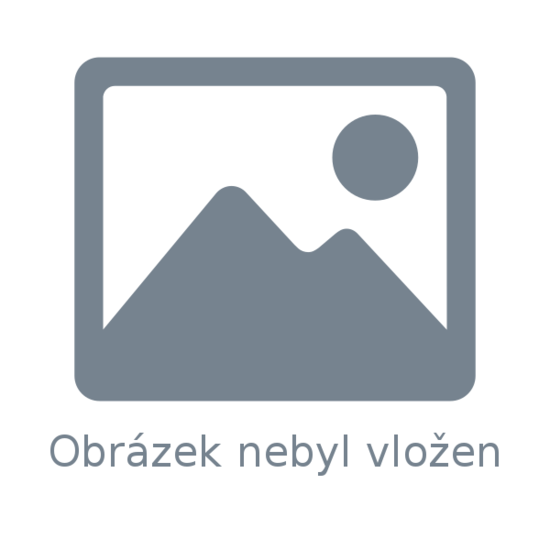 Sociální služby Slezské diakonie Sociální služby Slezské diakonie