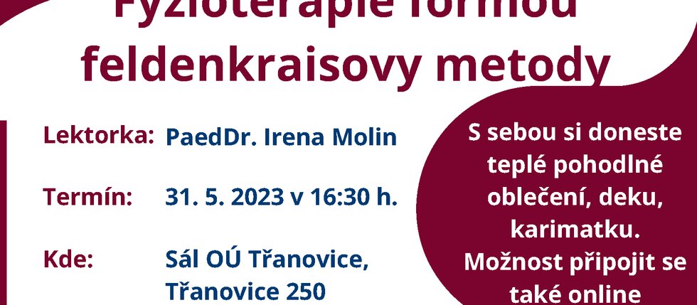Fyzioterapie formou feldenkraisovy metody