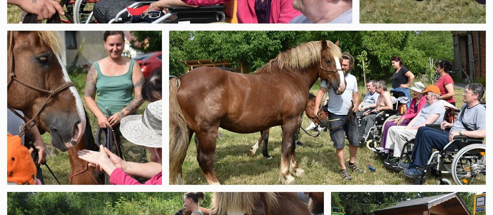 Z průběhu projektu