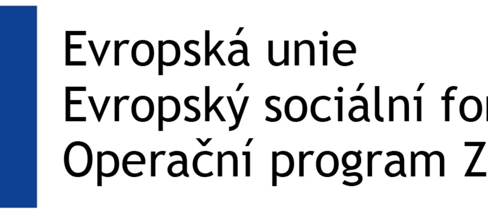 KDYŽ MÁTE TU ČEST A VÝSADU PEČOVAT… Z POHLEDU REALIZAČNÍHO TÝMU PROJEKTU